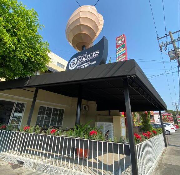 اتاق استاندارد چهارنفره با چشم‌انداز باغ, Caracoles Colima