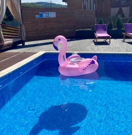 اتاق استاندارد با چشم‌انداز کوهستان, Four Seasons In Carpathians