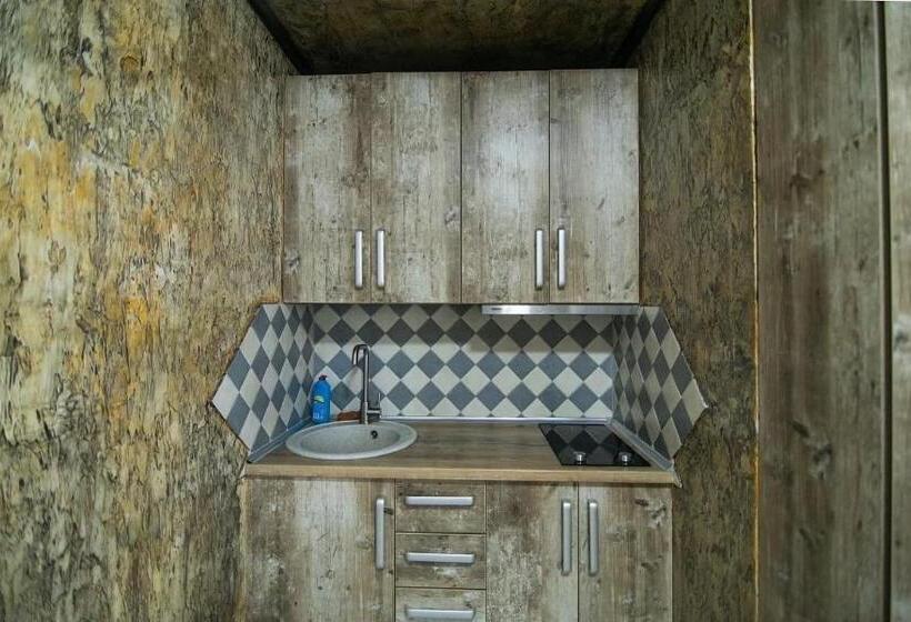 خانه 1 خوابه, Four Seasons In Carpathians