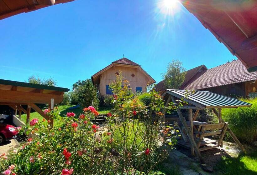 스탠다드 싱글 룸, Gestehof Hetzenberg