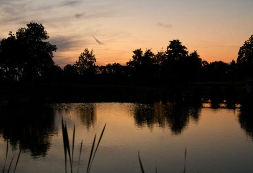 스탠다드 싱글 룸, Gestehof Hetzenberg