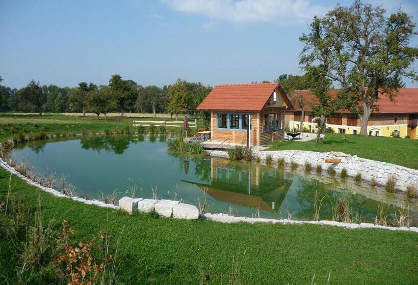 이코노미 싱글 룸, Gestehof Hetzenberg