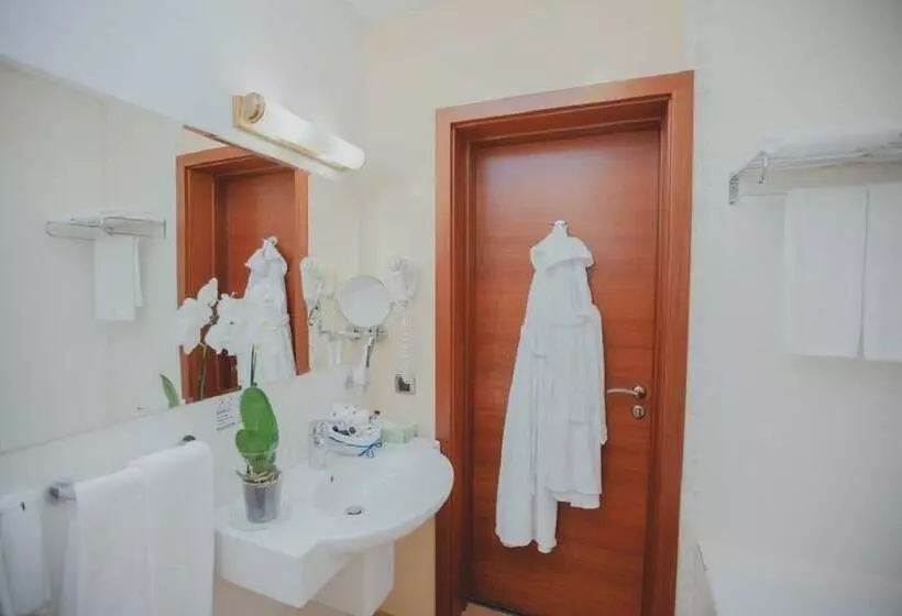اتاق استاندارد, Grand Hotel Vidgof