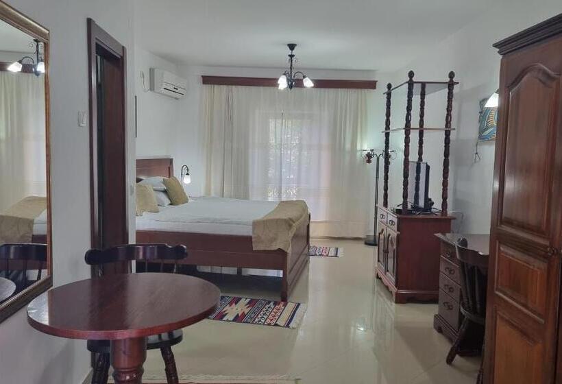 标准间, Palata Venezia