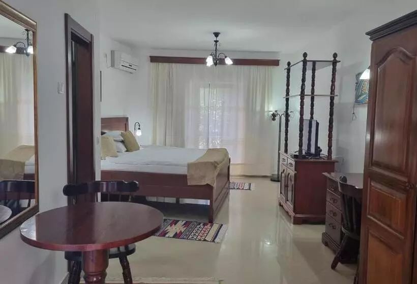 اتاق استاندارد, Palata Venezia