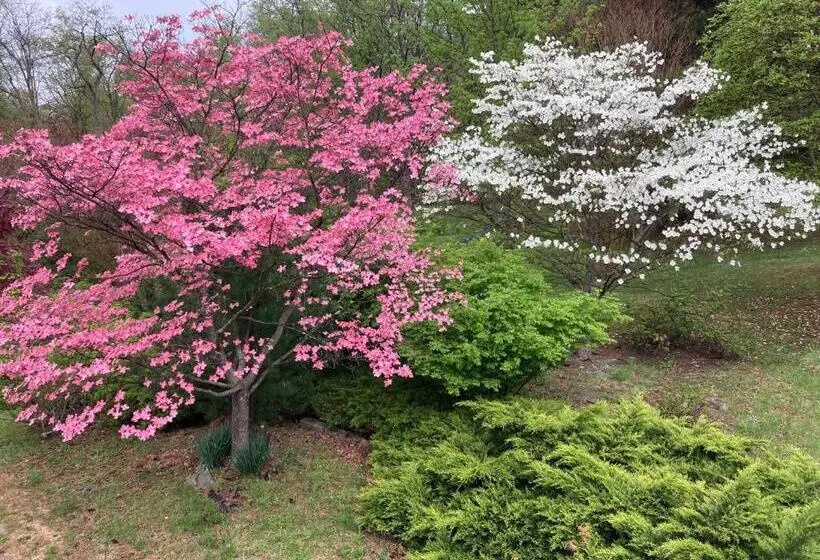 バルコニー付きスタンダードトリプルルーム, Purcellville Home