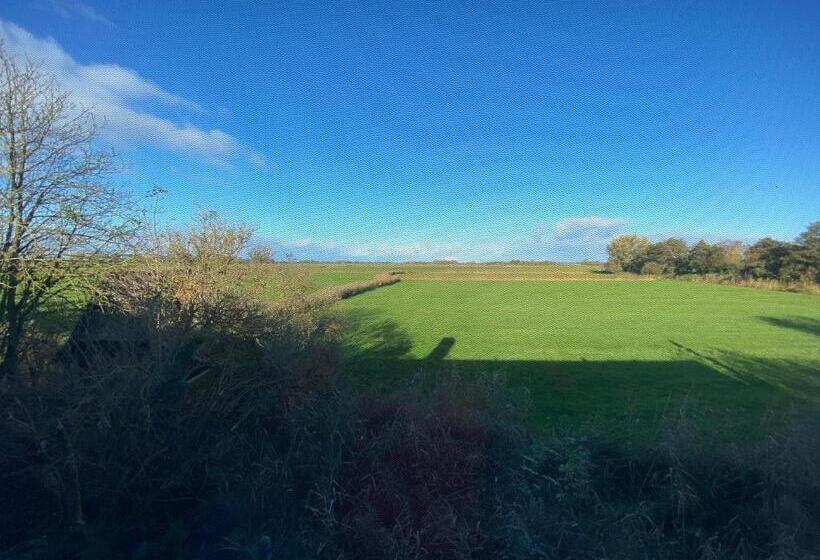 デラックスルーム, Pension Zum Leuchtfeuer