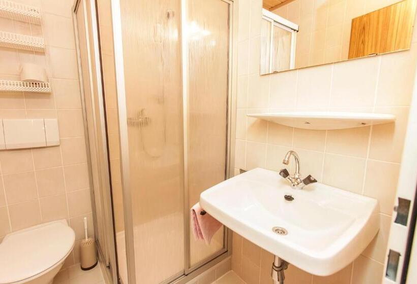 标准间带阳台, Schneiderbauer