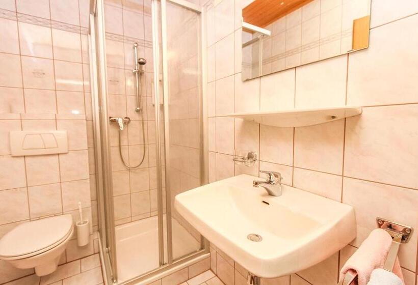 标准间带阳台, Schneiderbauer