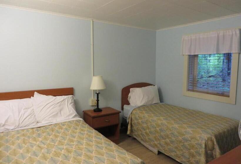 1베드룸 아파트 1층, Elmwood Motor Court