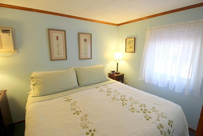 스위트 킹사이즈 침대, Elmwood Motor Court