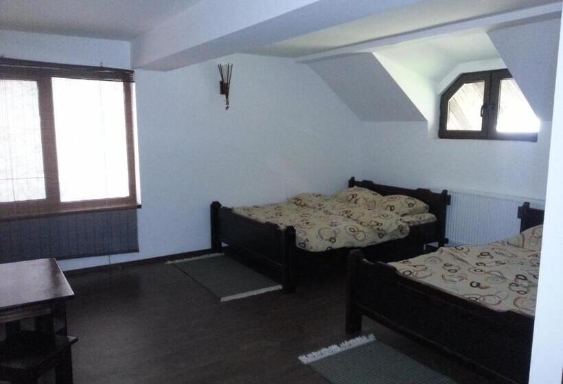 اتاق خانوادگی, Casa De Vacanta Spiritul Deltei