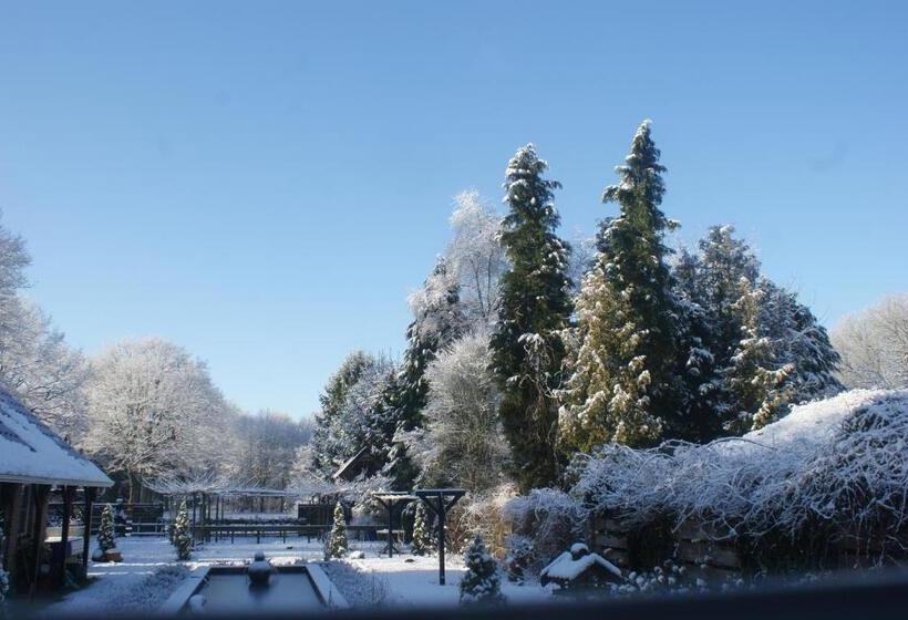 スタンダードルーム, B&b Van Hunebed Naar Jullie Bed