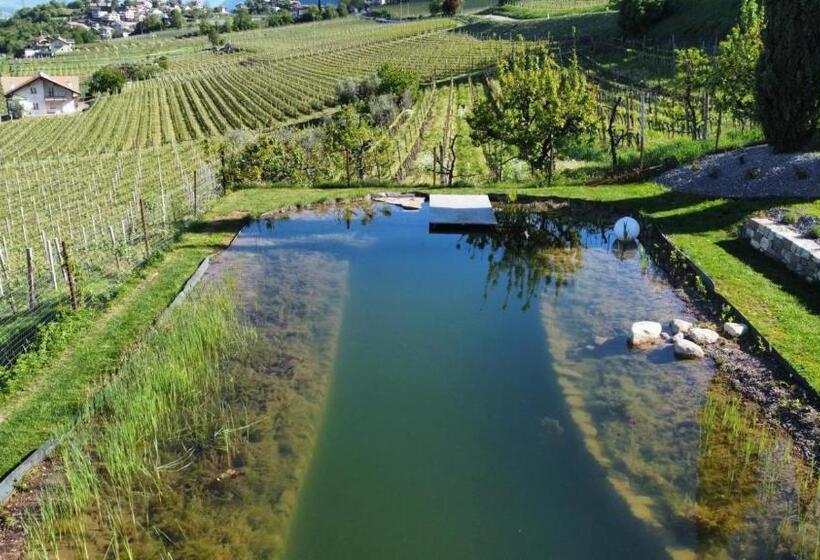 דירה בת חדר שינה 1 עם מרפסת, Burgunderhof