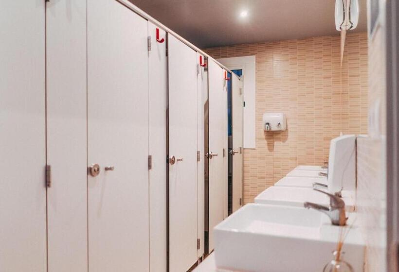 Cama em Quarto Partilhado, Black Swan Hostel