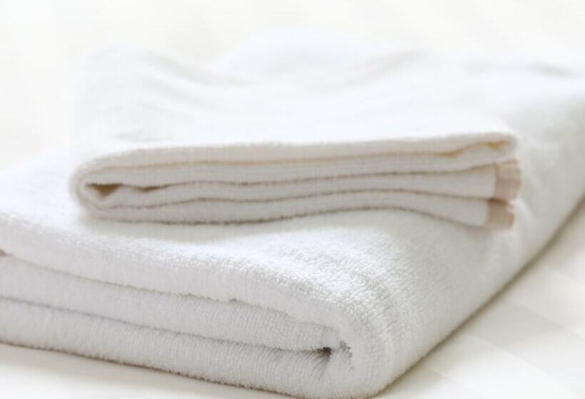 싱글 기본룸, Wing International Himeji