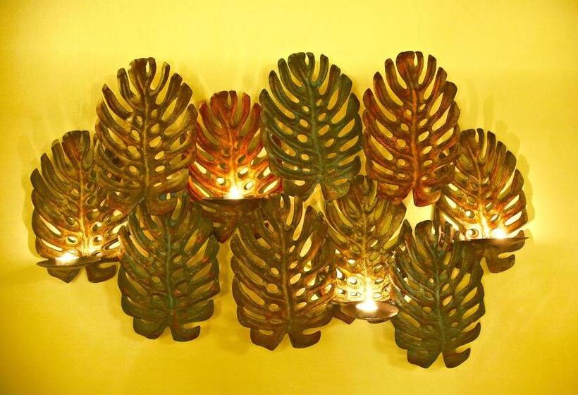 חדר פרמיום, Casa Pinto