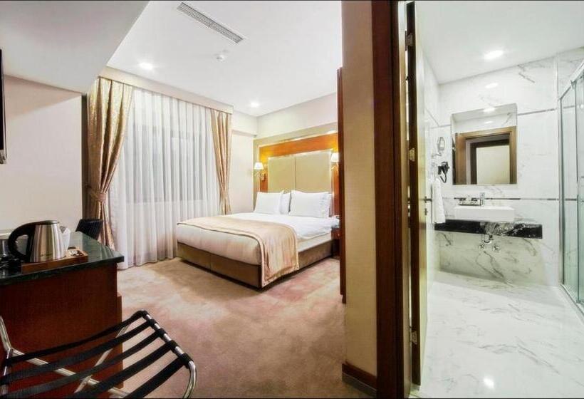 اتاق استاندارد, Dosso Dossi Hotels Old City