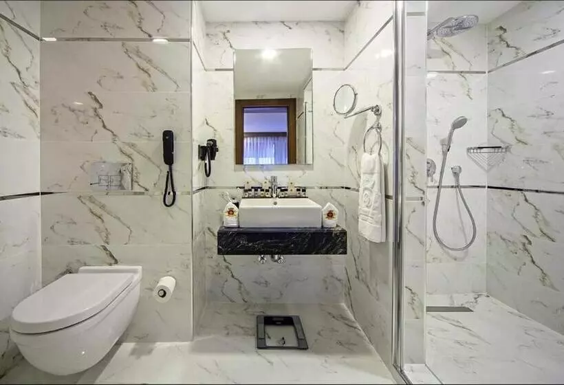 اتاق استاندارد یک نفره, Dosso Dossi Hotels Old City