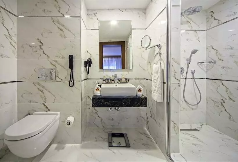 اتاق استاندارد یک نفره, Dosso Dossi Hotels Old City