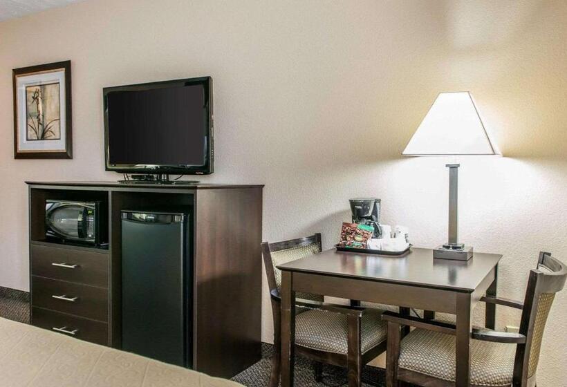 Стандартный Номер Кровать Кинг, Quality Inn & Suites