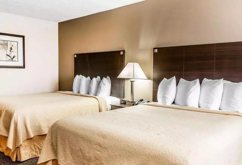 スイート, Quality Inn & Suites