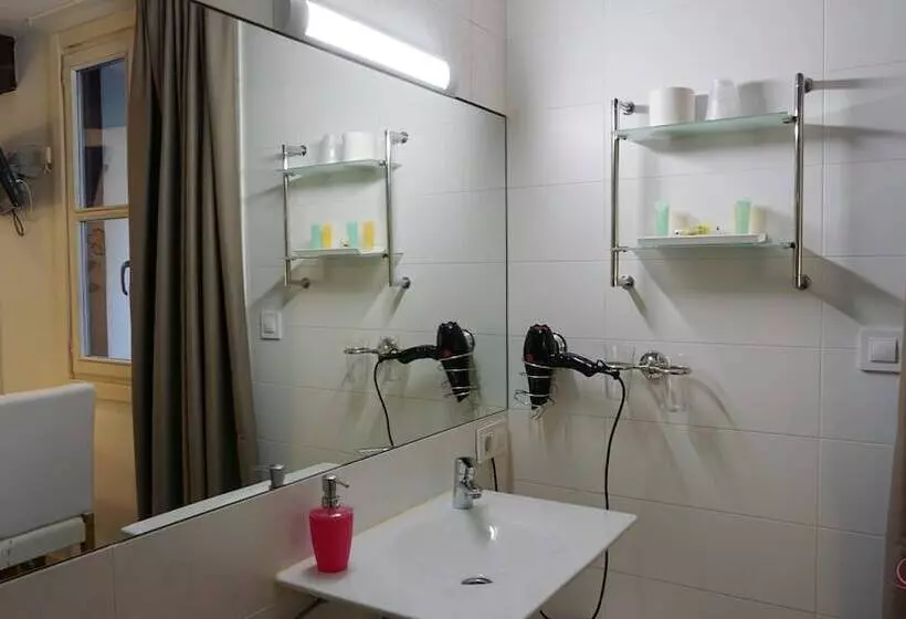 スタンダードルーム, Pension Aliciazzz Bed And Breakfast Bilbao