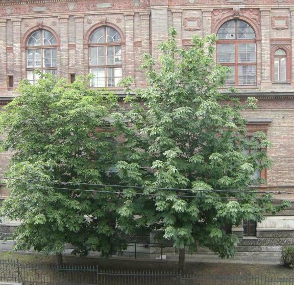 اتاق استاندارد یک نفره, Pension Schottentor