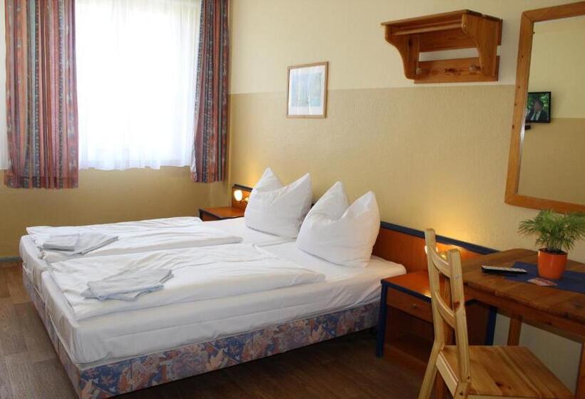 اتاق استاندارد با سرویس بهداشتی مشترک, Pension Schwalbenweg