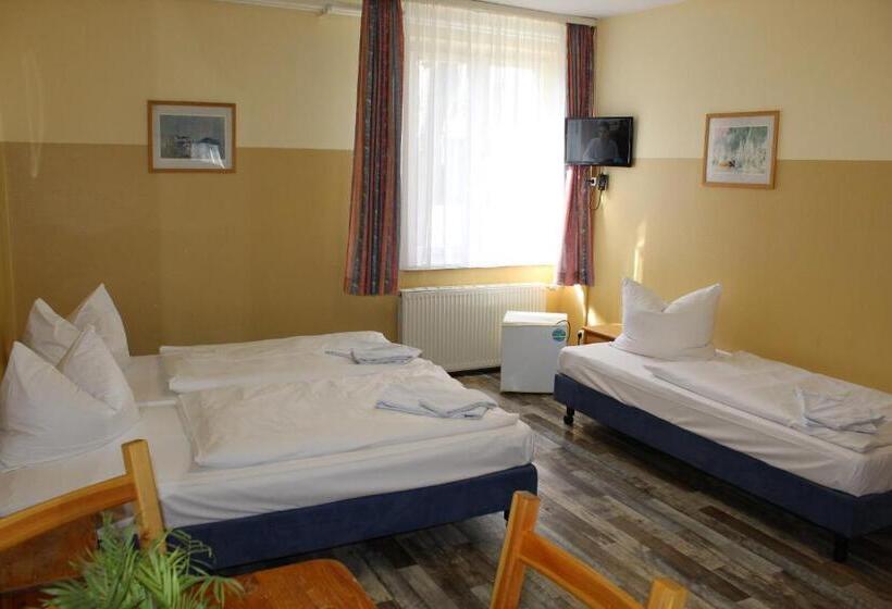 اتاق استاندارد سه تخته با سرویس بهداشتی مشترک, Pension Schwalbenweg