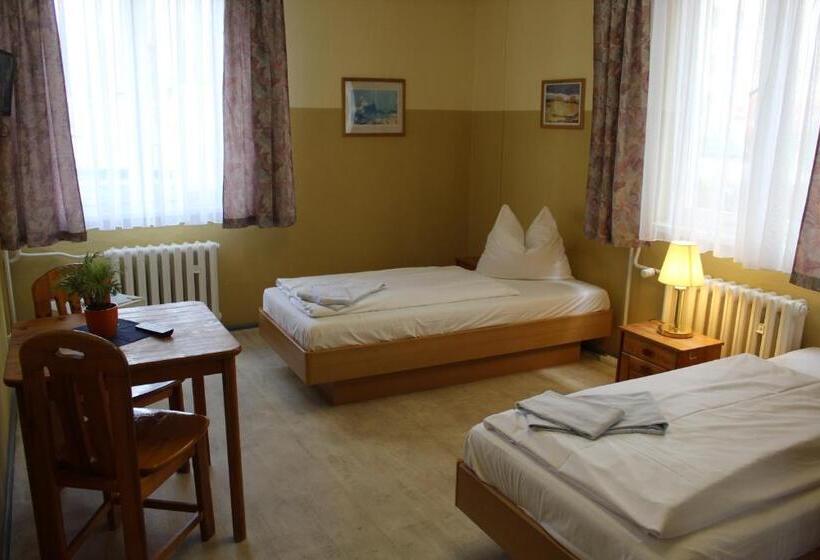 اتاق استاندارد چهارنفره با سرویس بهداشتی مشترک, Pension Schwalbenweg