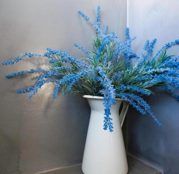 اتاق استاندارد با تراس, Vivenda Brito