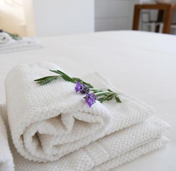 استودیوی لوکس, Vivenda Brito