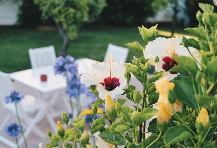 اتاق استاندارد با تراس, Vivenda Brito