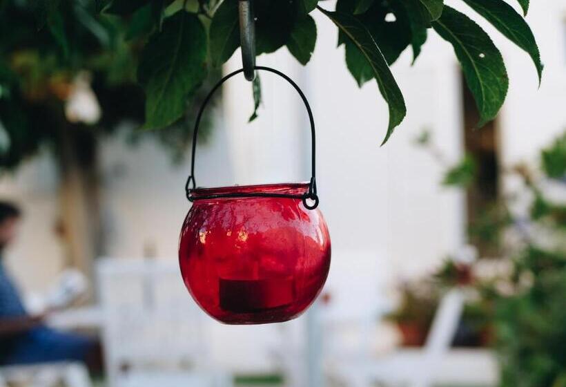 اتاق استاندارد با تراس, Vivenda Brito