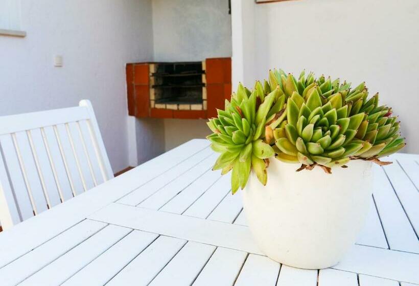 آپارتمان 1 خوابه, Vivenda Brito