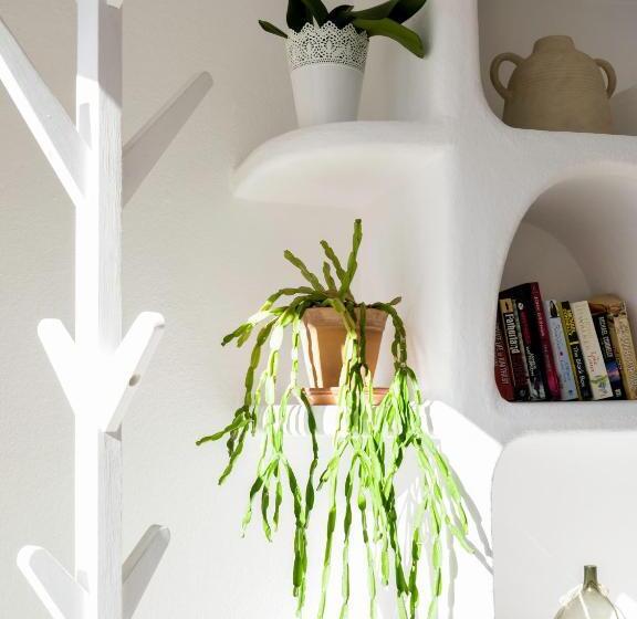 آپارتمان 1 خوابه, Vivenda Brito