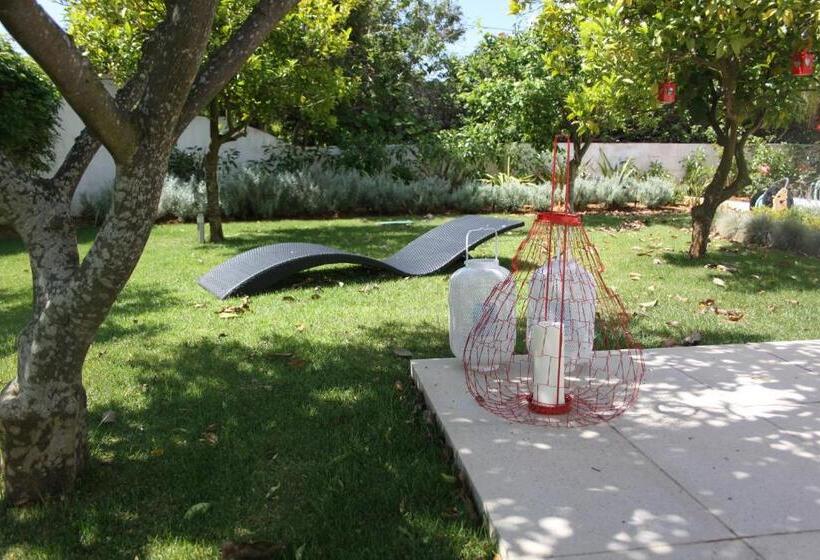 اتاق استاندارد با تراس, Vivenda Brito