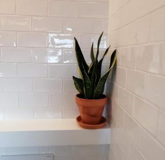 استودیوی لوکس, Vivenda Brito