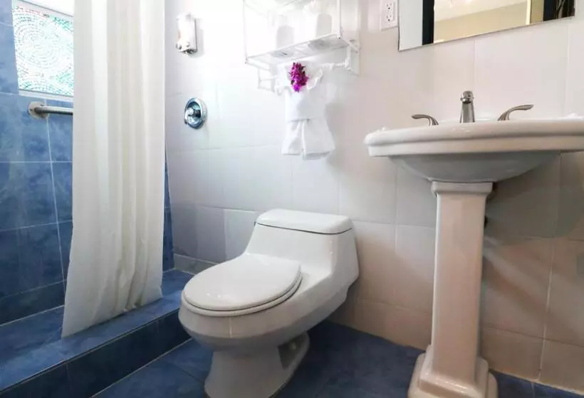 ２段ベッド付きスタンダードルーム, Hollywood Beach Suites And