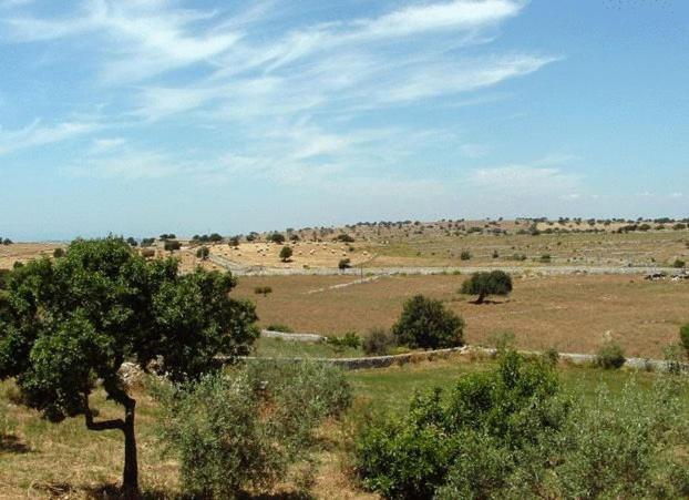 חדר דלוקס, Casato Licitra