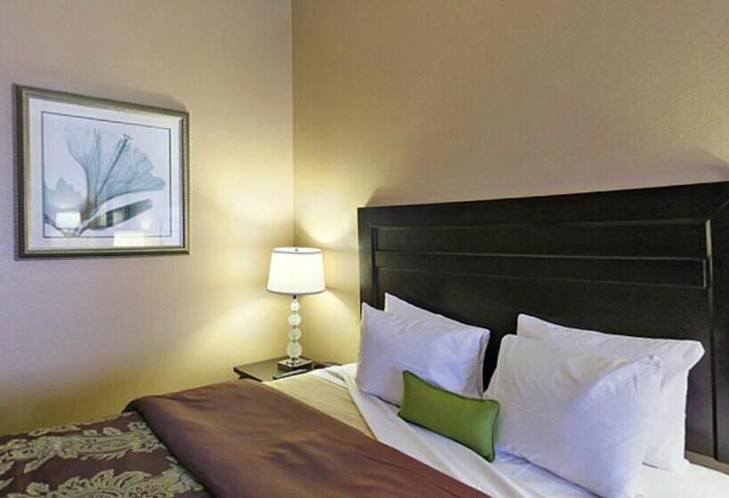 스탠다드 룸 킹사이즈 침대, Best Western Route 66 Glendora Inn