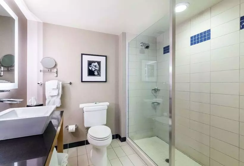 スイート, Cambria Hotel Pittsburgh   Downtown