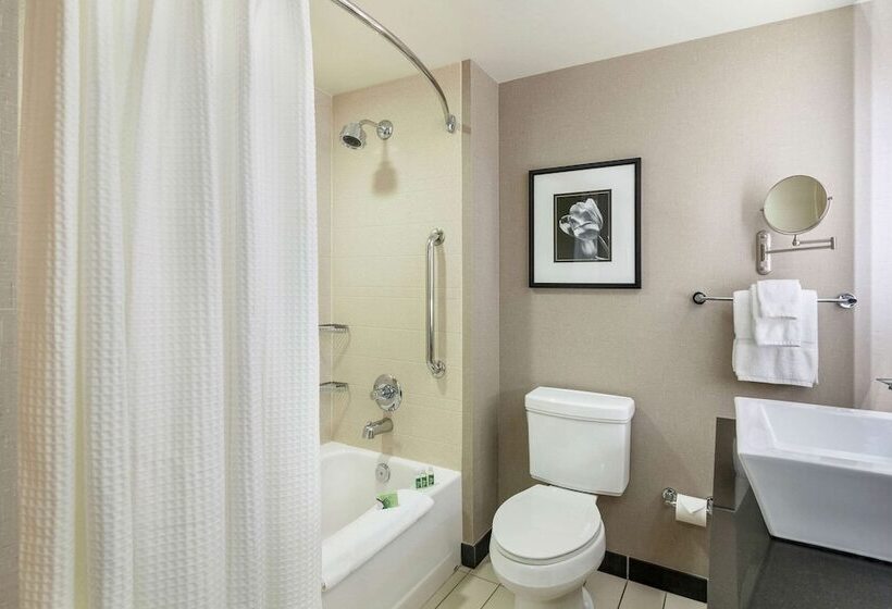 套房, Cambria Hotel Pittsburgh Downtown