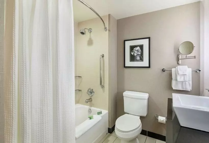 スイート, Cambria Hotel Pittsburgh   Downtown