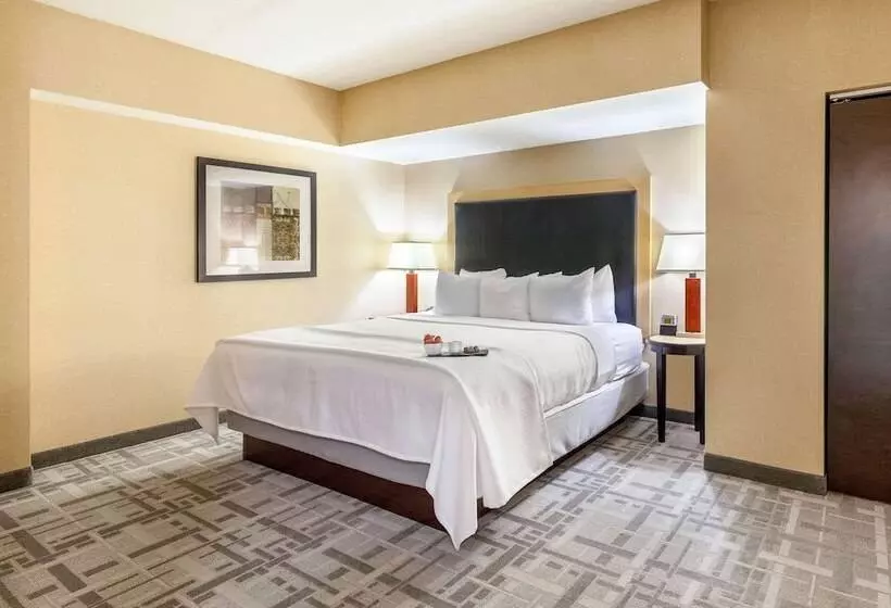 スイート, Cambria Hotel Pittsburgh   Downtown
