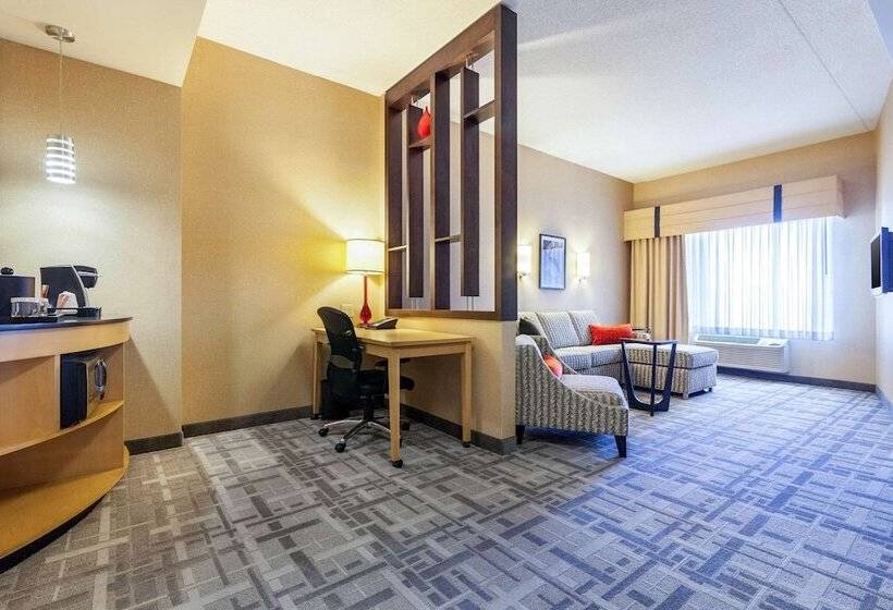 Люкс, Cambria Hotel Pittsburgh   Downtown
