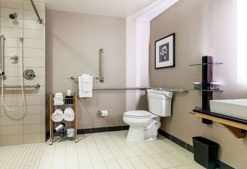 适合残疾人士使用的套间, Cambria Hotel Pittsburgh Downtown