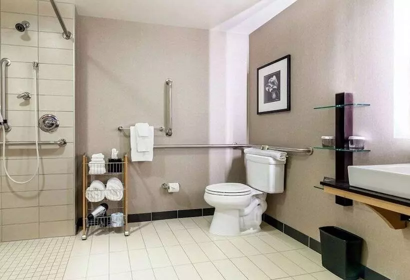 身障者適用スイートルーム, Cambria Hotel Pittsburgh   Downtown