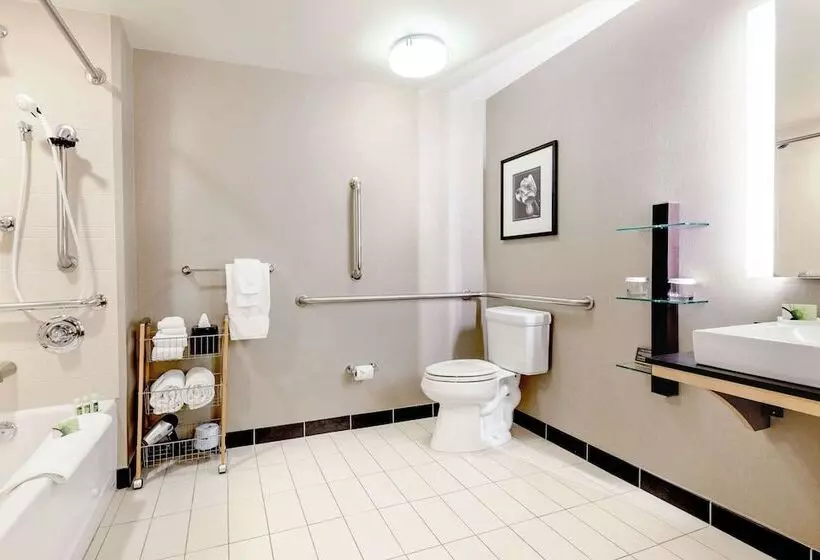 身障者適用スイートルーム, Cambria Hotel Pittsburgh   Downtown